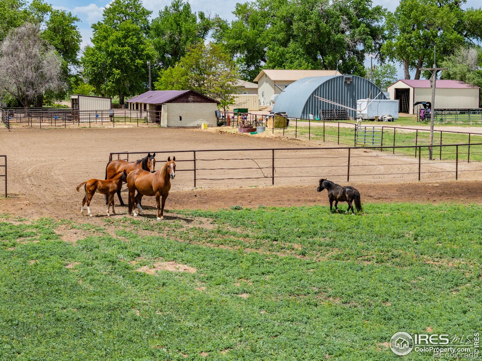 MLS Image #39 for 23462  county road 55 ,kersey, Colorado