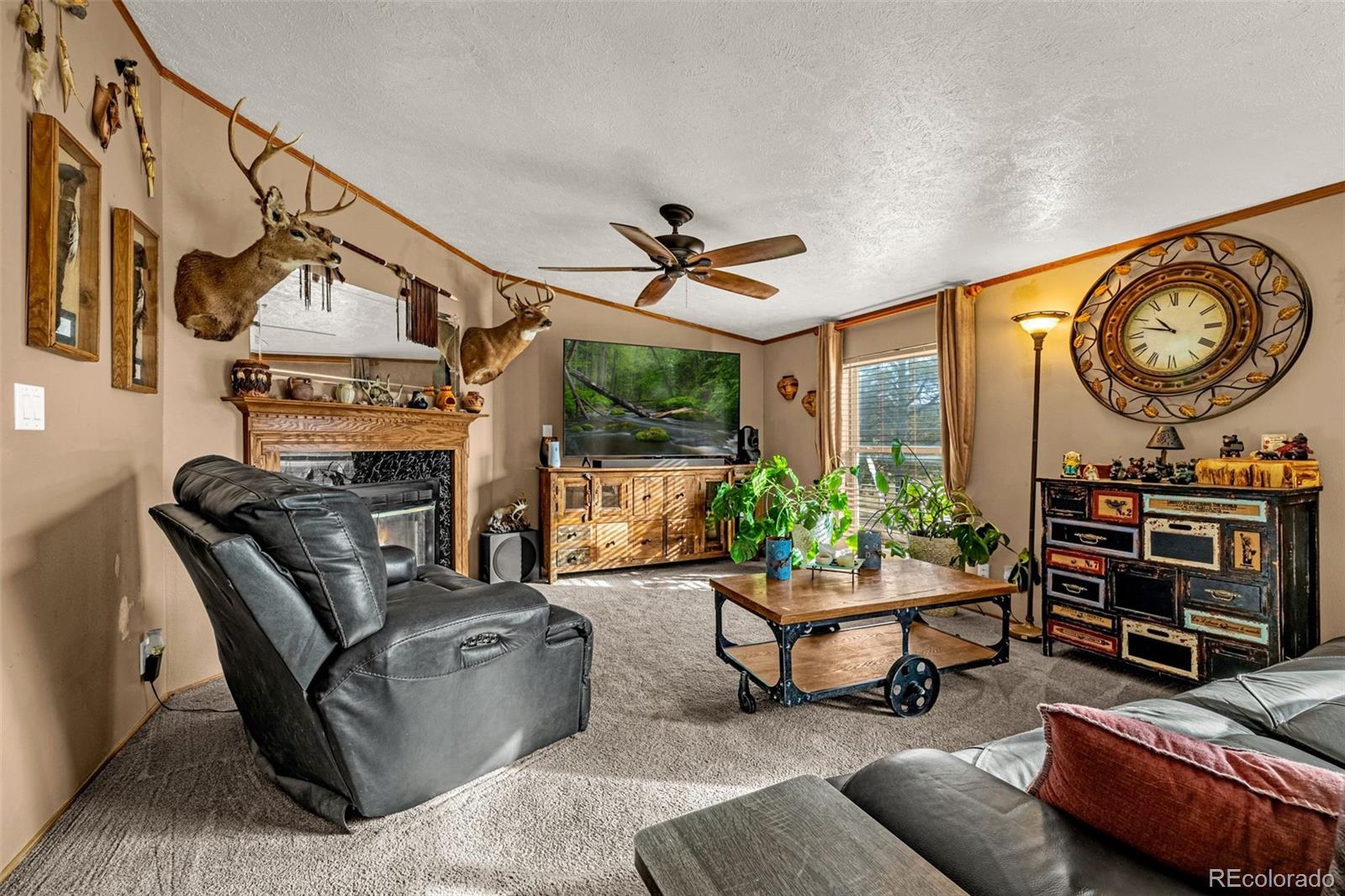 MLS Image #16 for 110  rimrock circle,florissant, Colorado