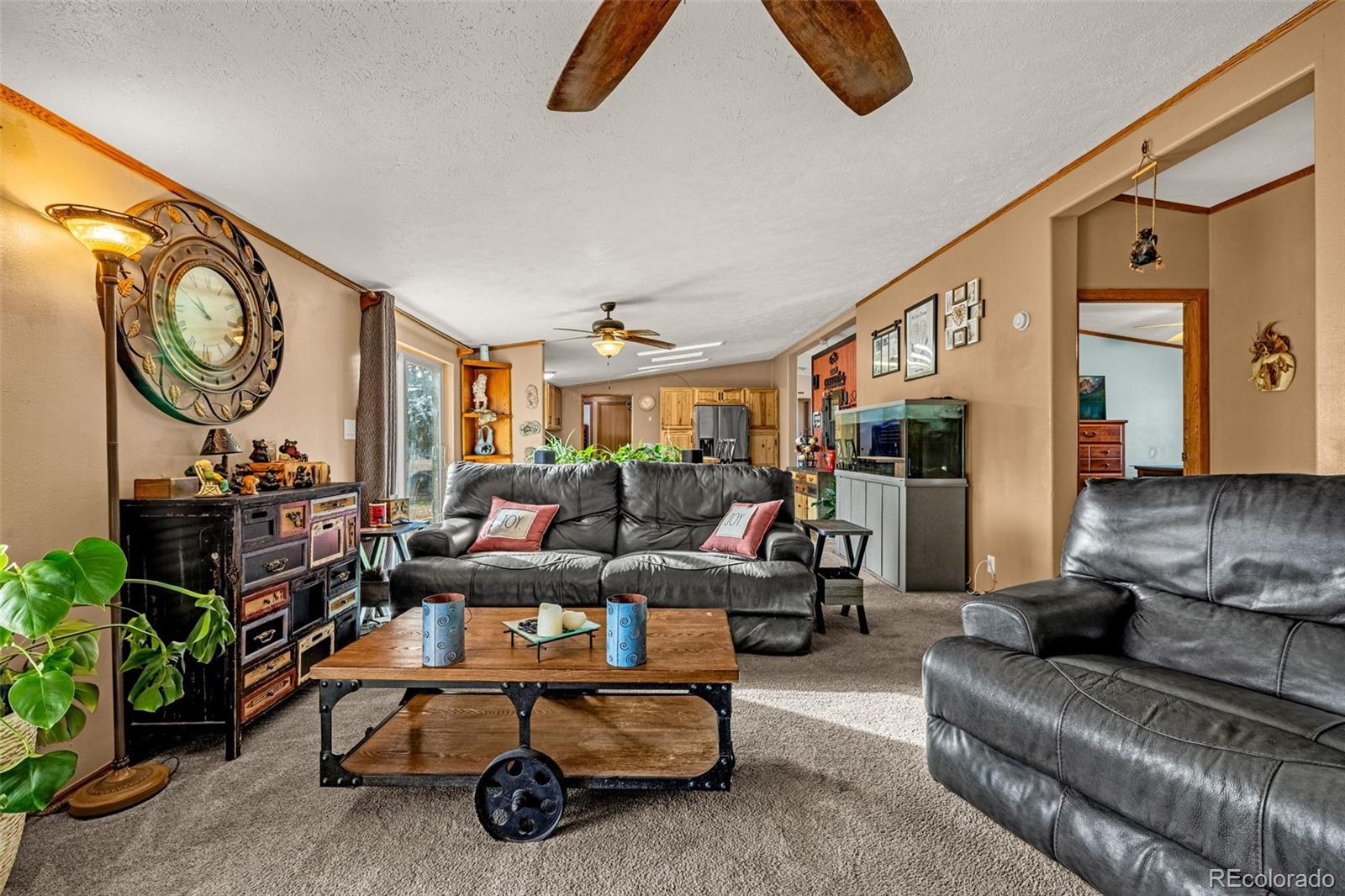 MLS Image #17 for 110  rimrock circle,florissant, Colorado