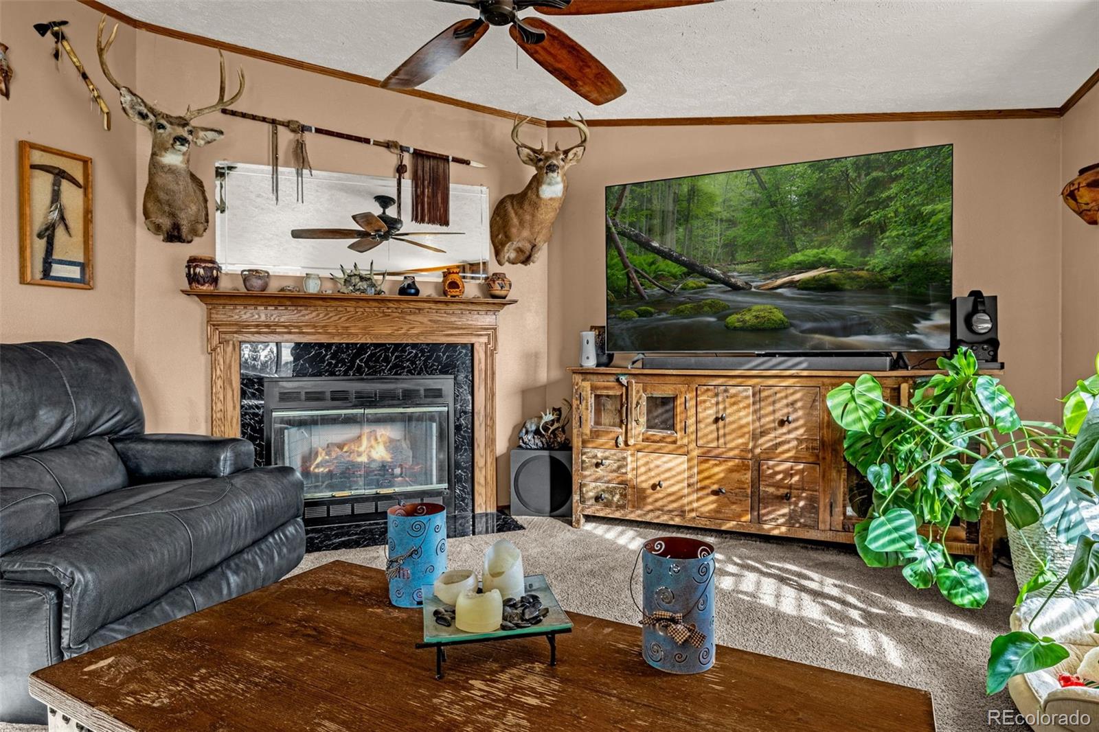 MLS Image #18 for 110  rimrock circle,florissant, Colorado
