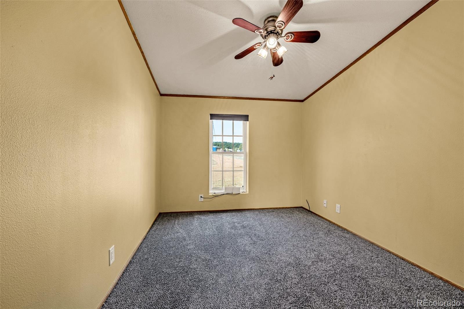 MLS Image #19 for 110  rimrock circle,florissant, Colorado