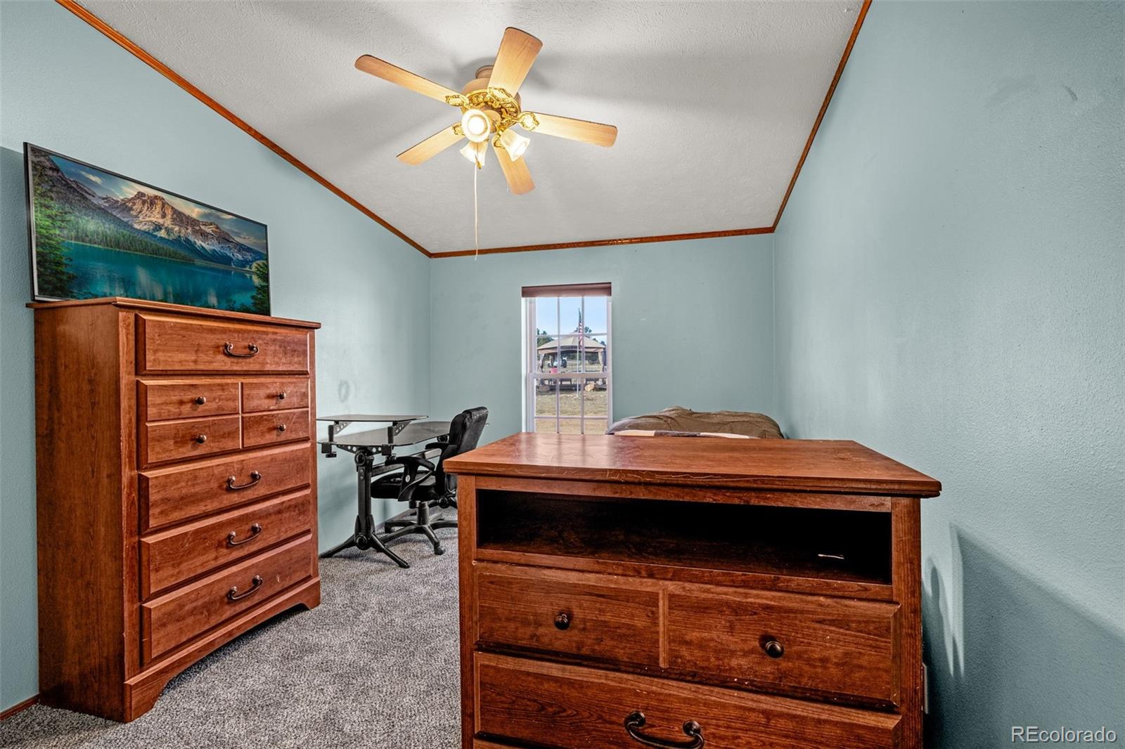 MLS Image #21 for 110  rimrock circle,florissant, Colorado