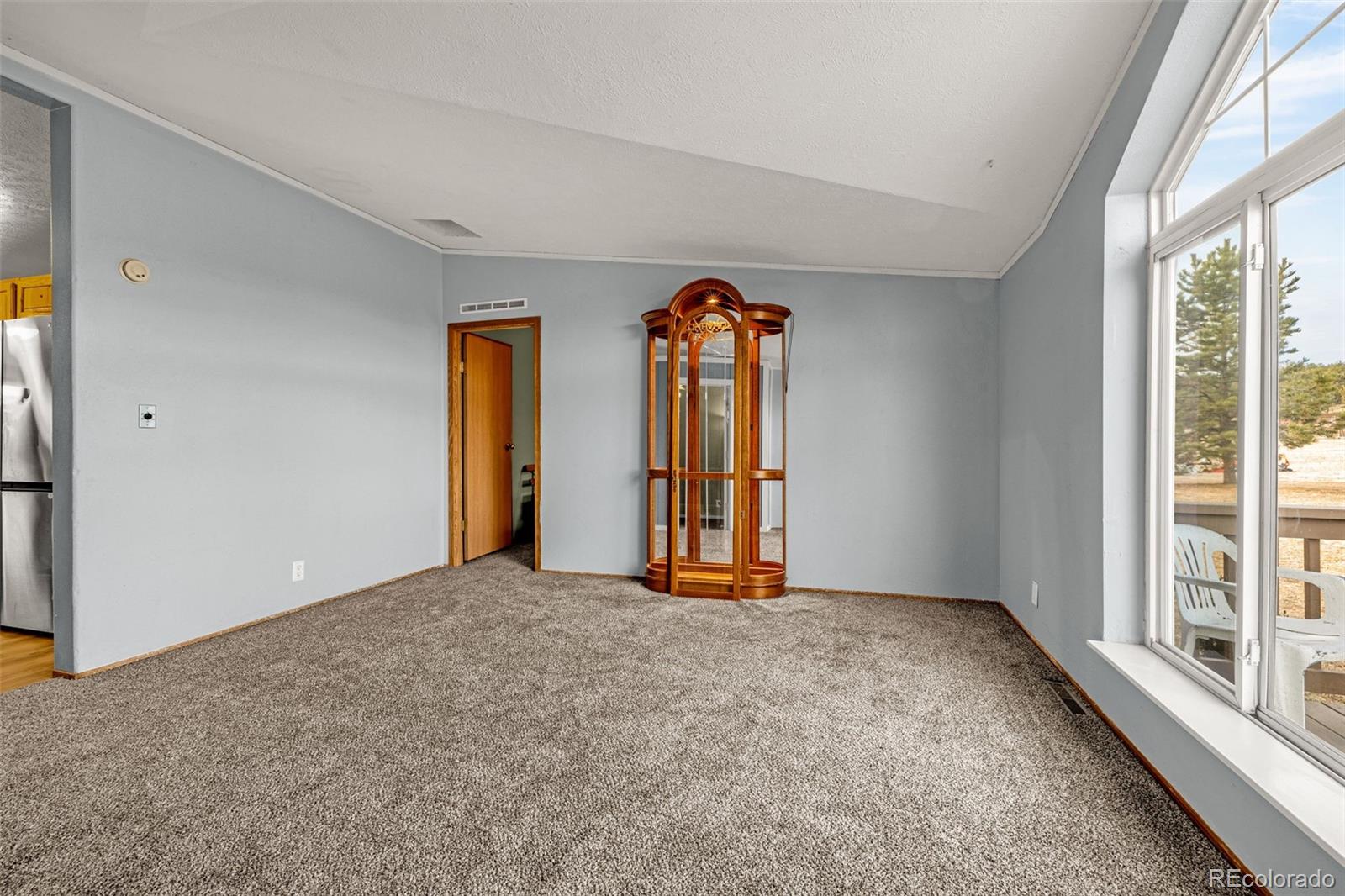 MLS Image #5 for 110  rimrock circle,florissant, Colorado