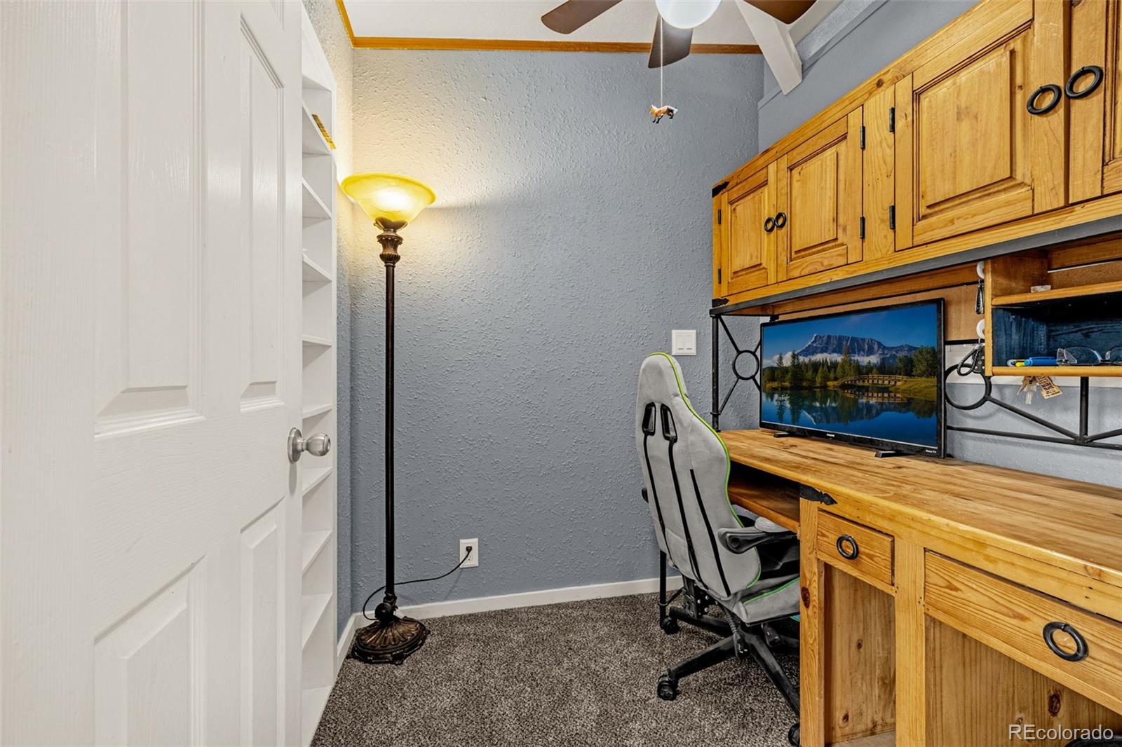 MLS Image #7 for 110  rimrock circle,florissant, Colorado