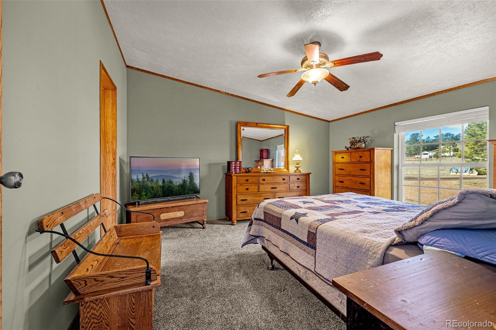 MLS Image #8 for 110  rimrock circle,florissant, Colorado