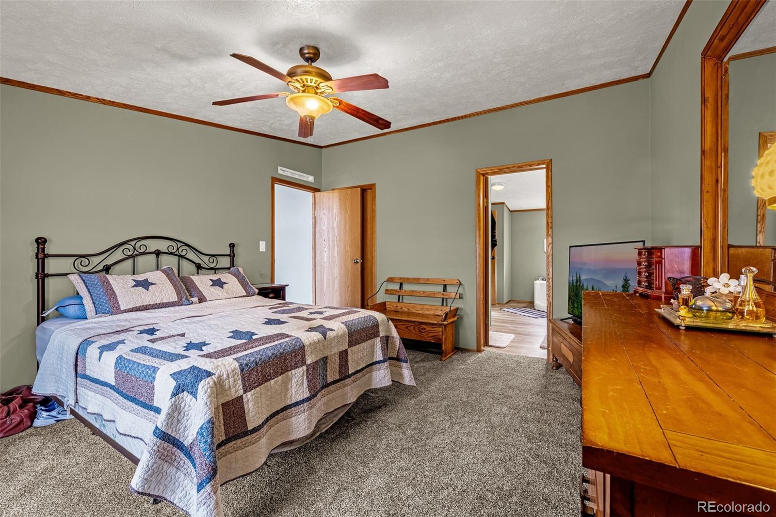 MLS Image #9 for 110  rimrock circle,florissant, Colorado
