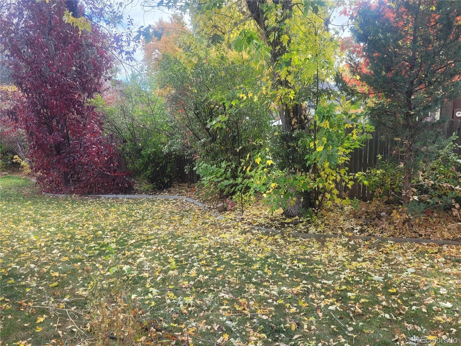 MLS Image #28 for 16036 e lehigh circle,aurora, Colorado