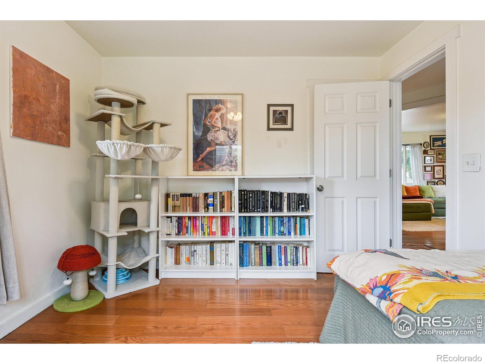 MLS Image #17 for 4714  leaf court,denver, Colorado