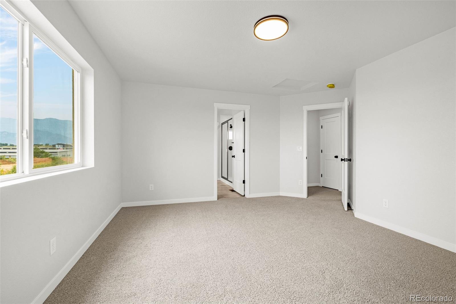 MLS Image #18 for 751  littlebear grove ,colorado springs, Colorado