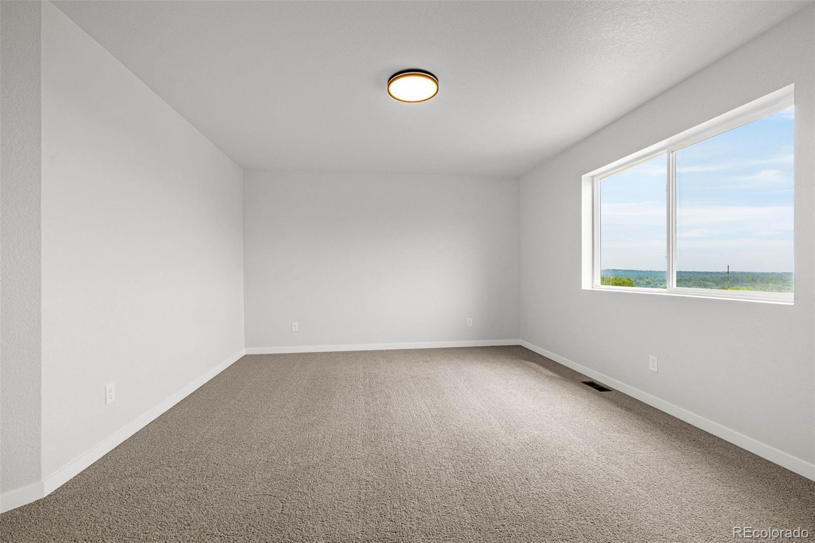 MLS Image #19 for 751  littlebear grove ,colorado springs, Colorado