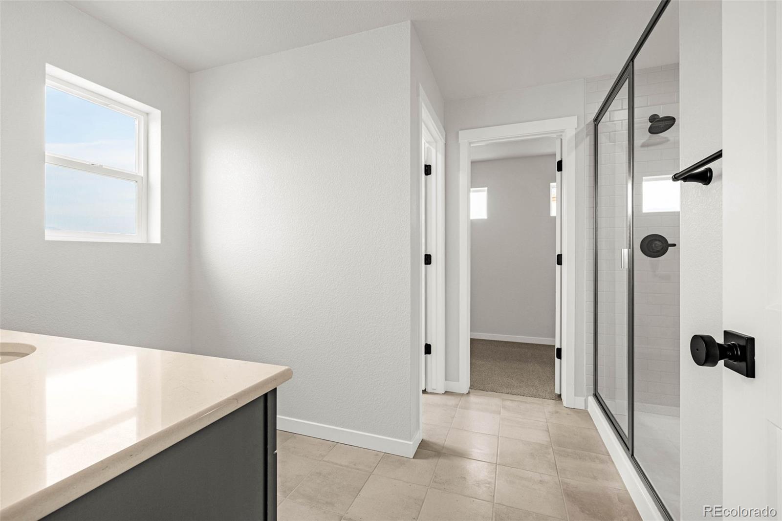 MLS Image #20 for 751  littlebear grove ,colorado springs, Colorado