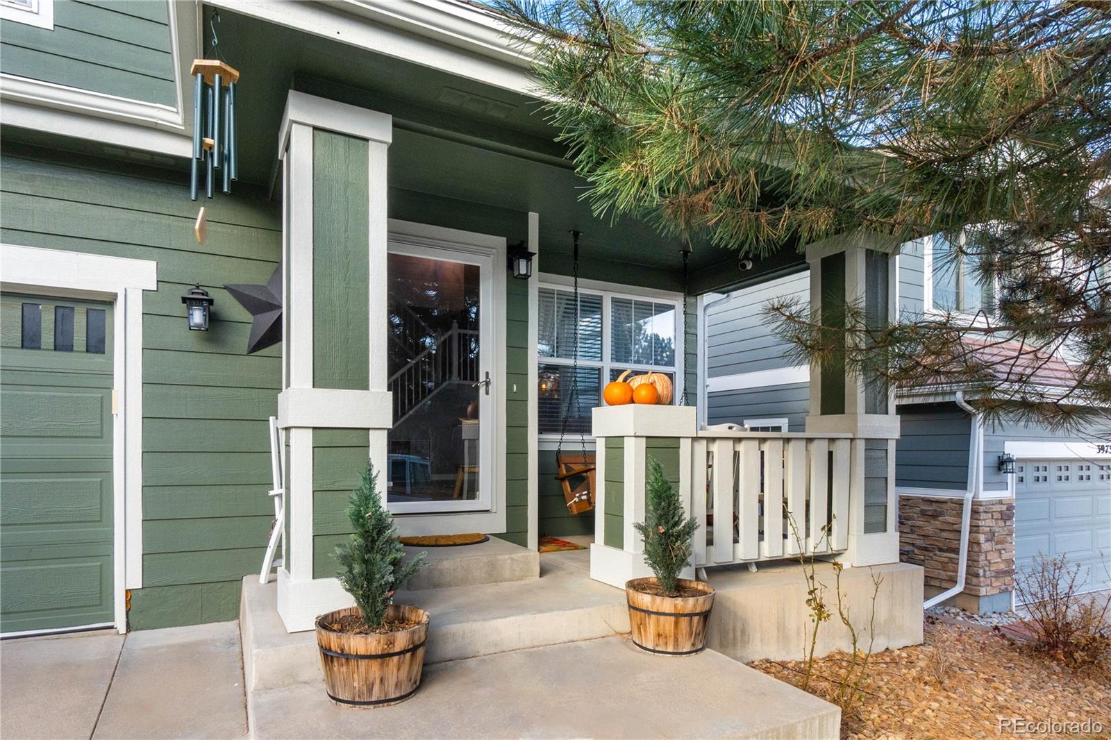 MLS Image #2 for 3987  shane valley trail,castle rock, Colorado