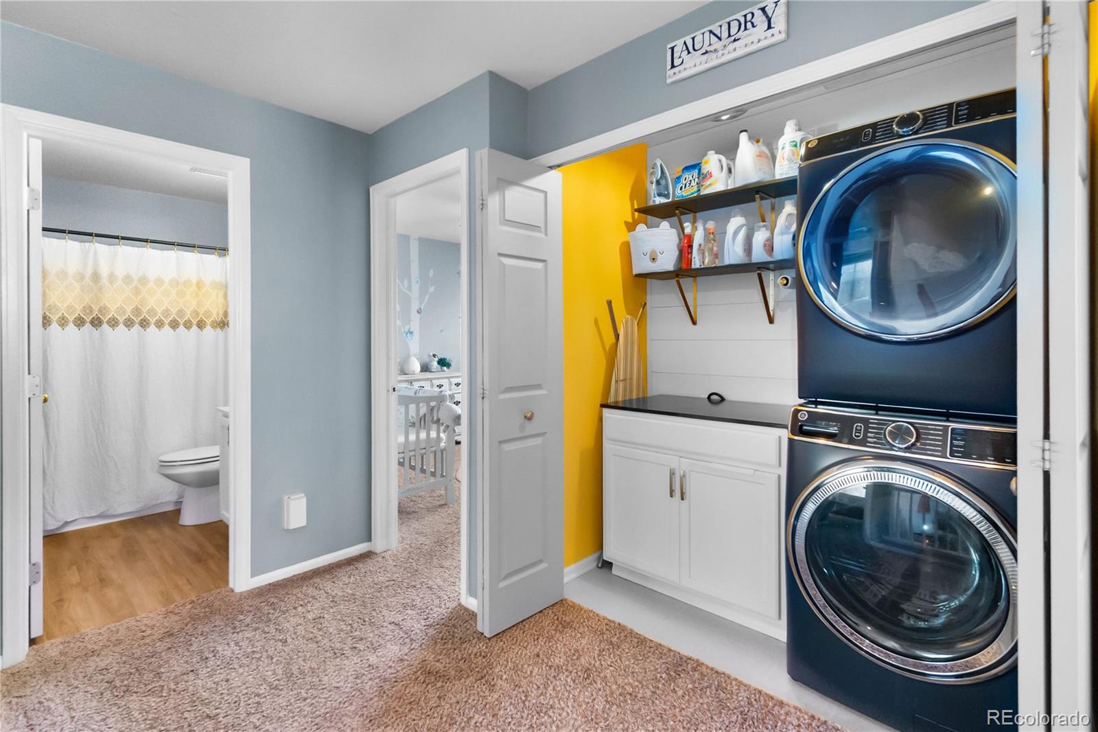 MLS Image #23 for 3987  shane valley trail,castle rock, Colorado