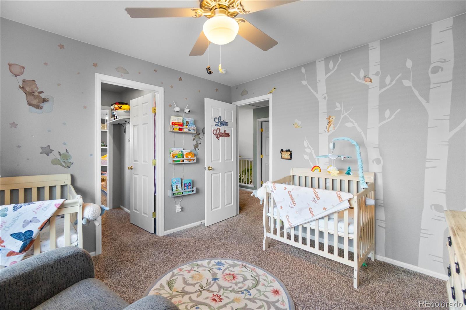 MLS Image #30 for 3987  shane valley trail,castle rock, Colorado