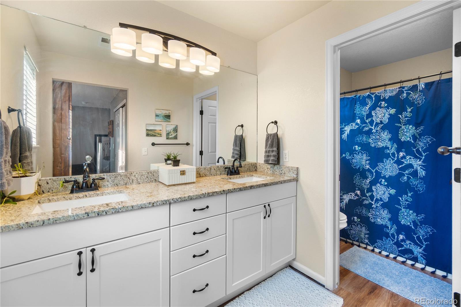MLS Image #35 for 3987  shane valley trail,castle rock, Colorado