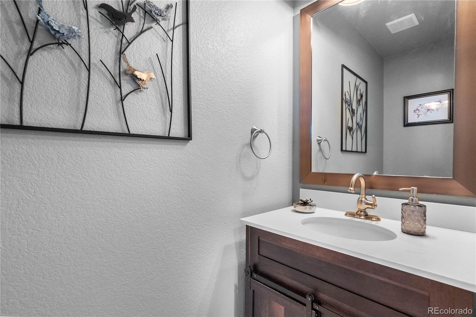 MLS Image #9 for 3987  shane valley trail,castle rock, Colorado
