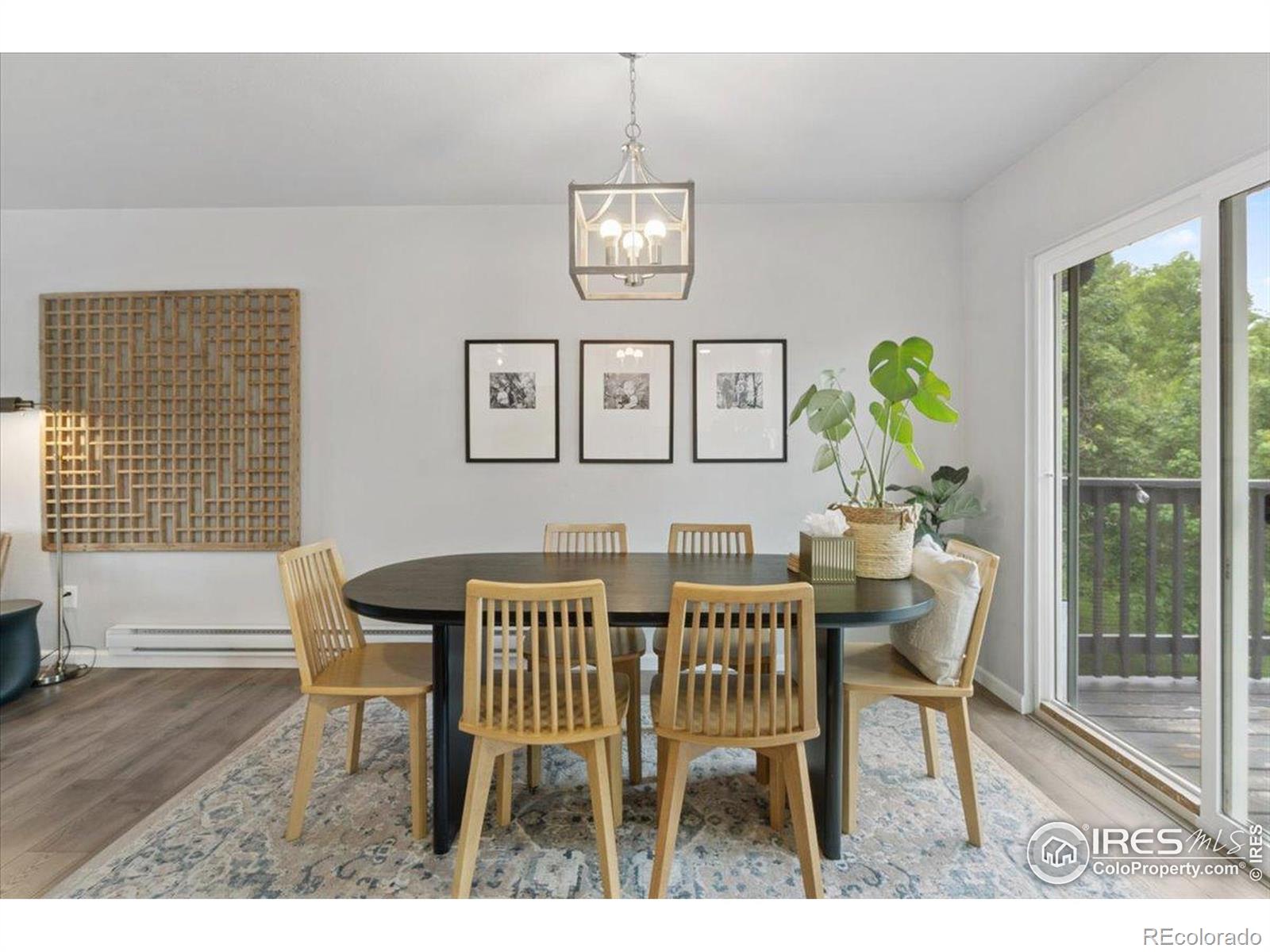 MLS Image #10 for 736  gallup road,fort collins, Colorado