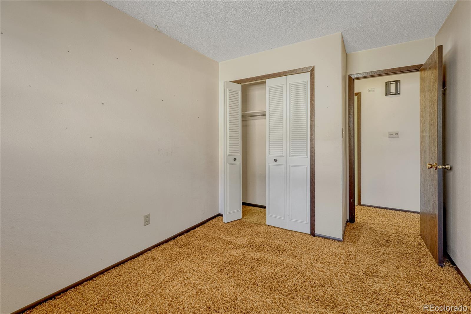 MLS Image #11 for 4660  bluestem lane,colorado springs, Colorado