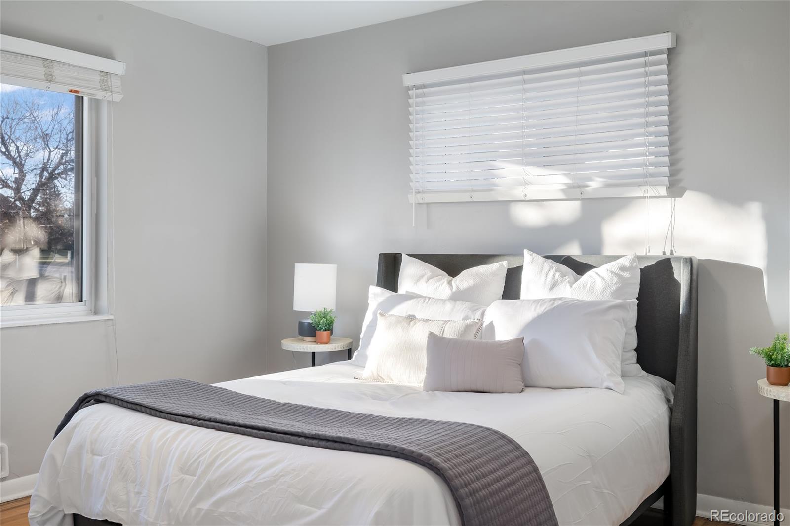 MLS Image #15 for 3690  olive street,denver, Colorado