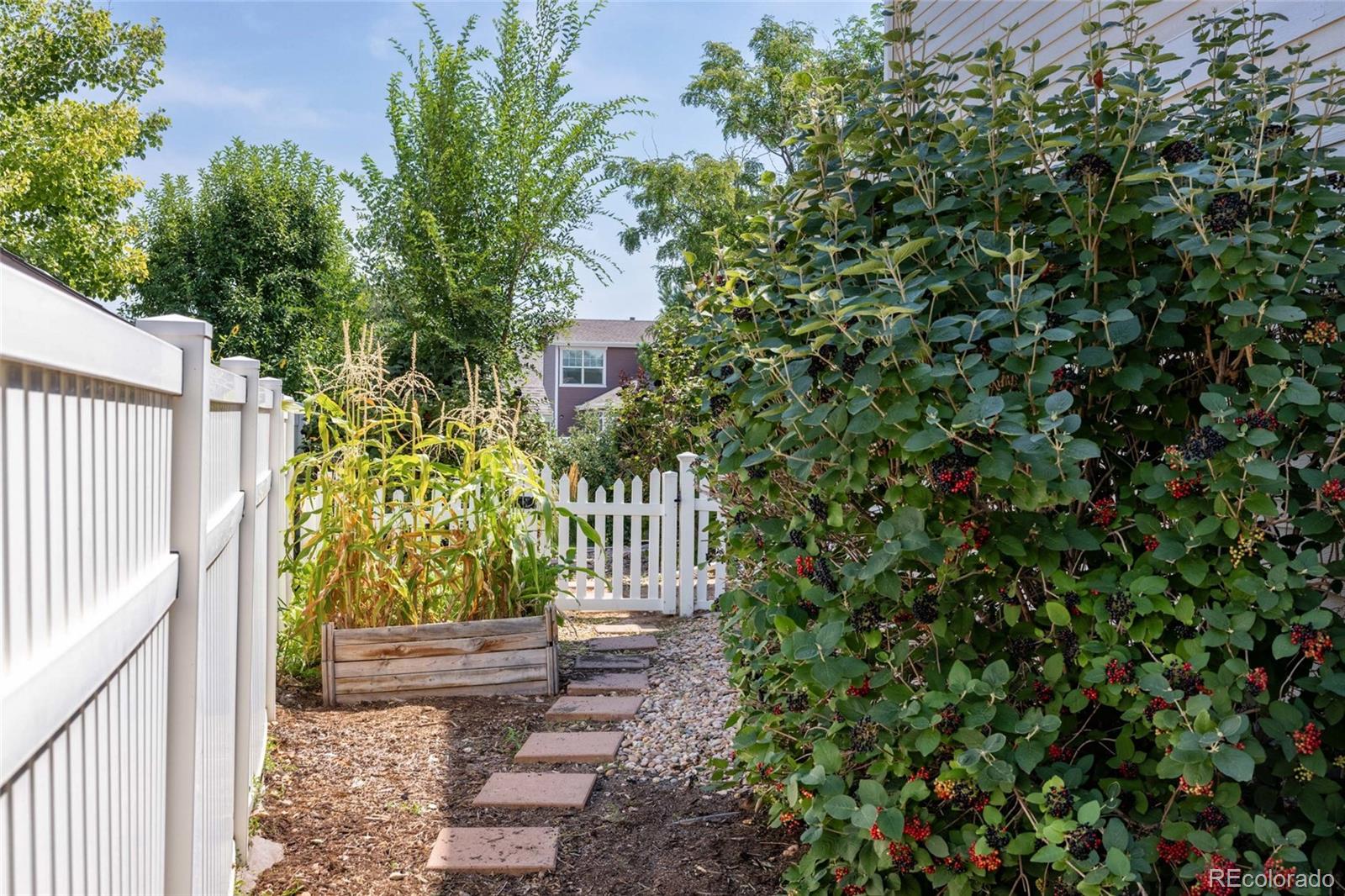 MLS Image #33 for 1107  crescent drive,windsor, Colorado