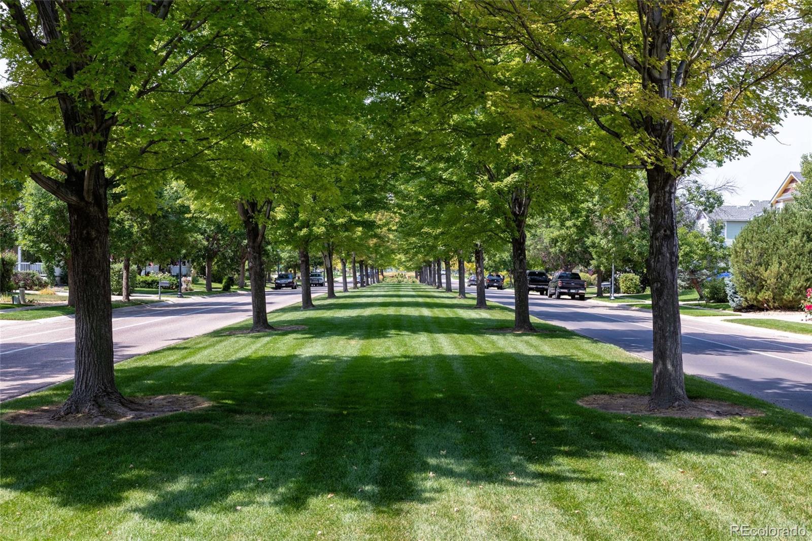 MLS Image #38 for 1107  crescent drive,windsor, Colorado