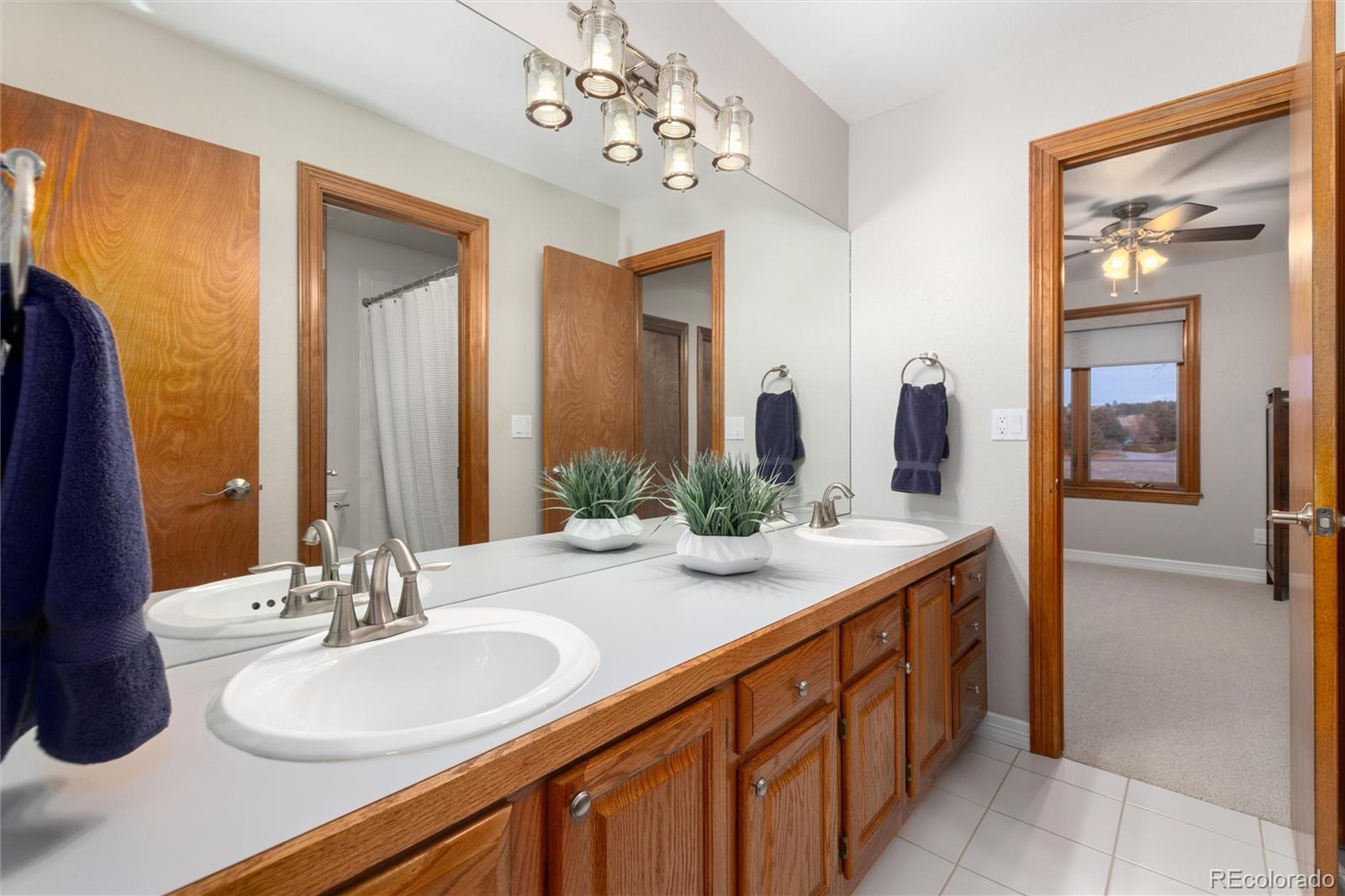 MLS Image #19 for 6602 e sage lane,parker, Colorado