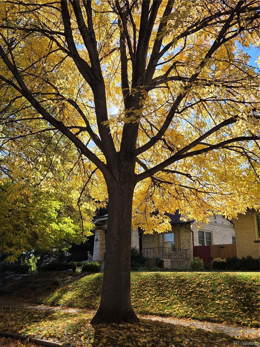 MLS Image #37 for 601  milwaukee street,denver, Colorado