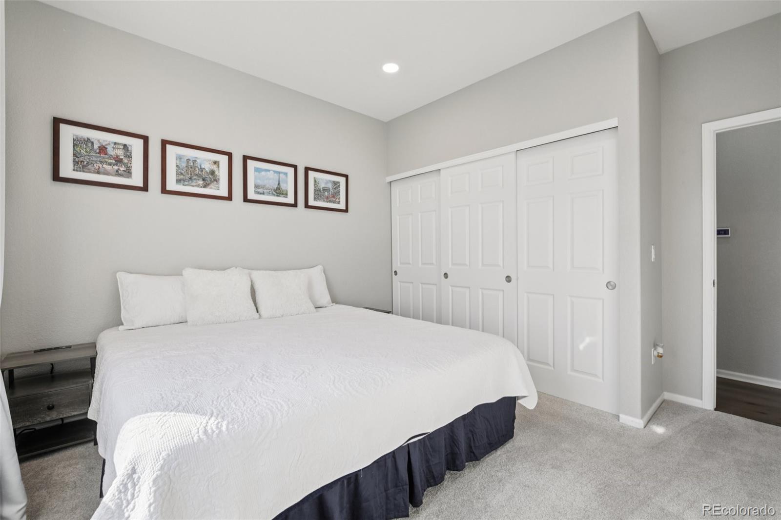 MLS Image #11 for 224  whitehaven circle ,highlands ranch, Colorado