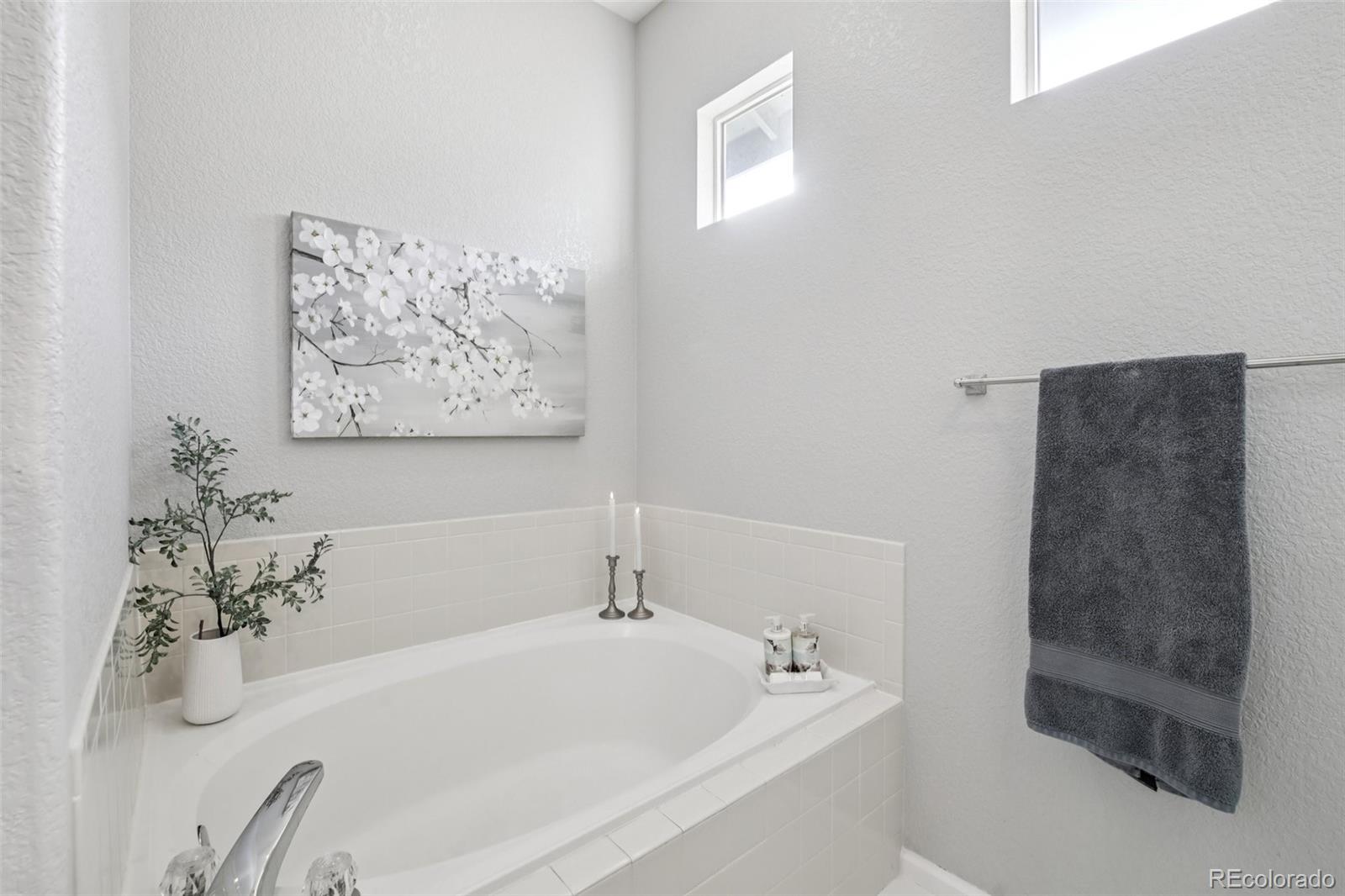 MLS Image #18 for 224  whitehaven circle ,highlands ranch, Colorado