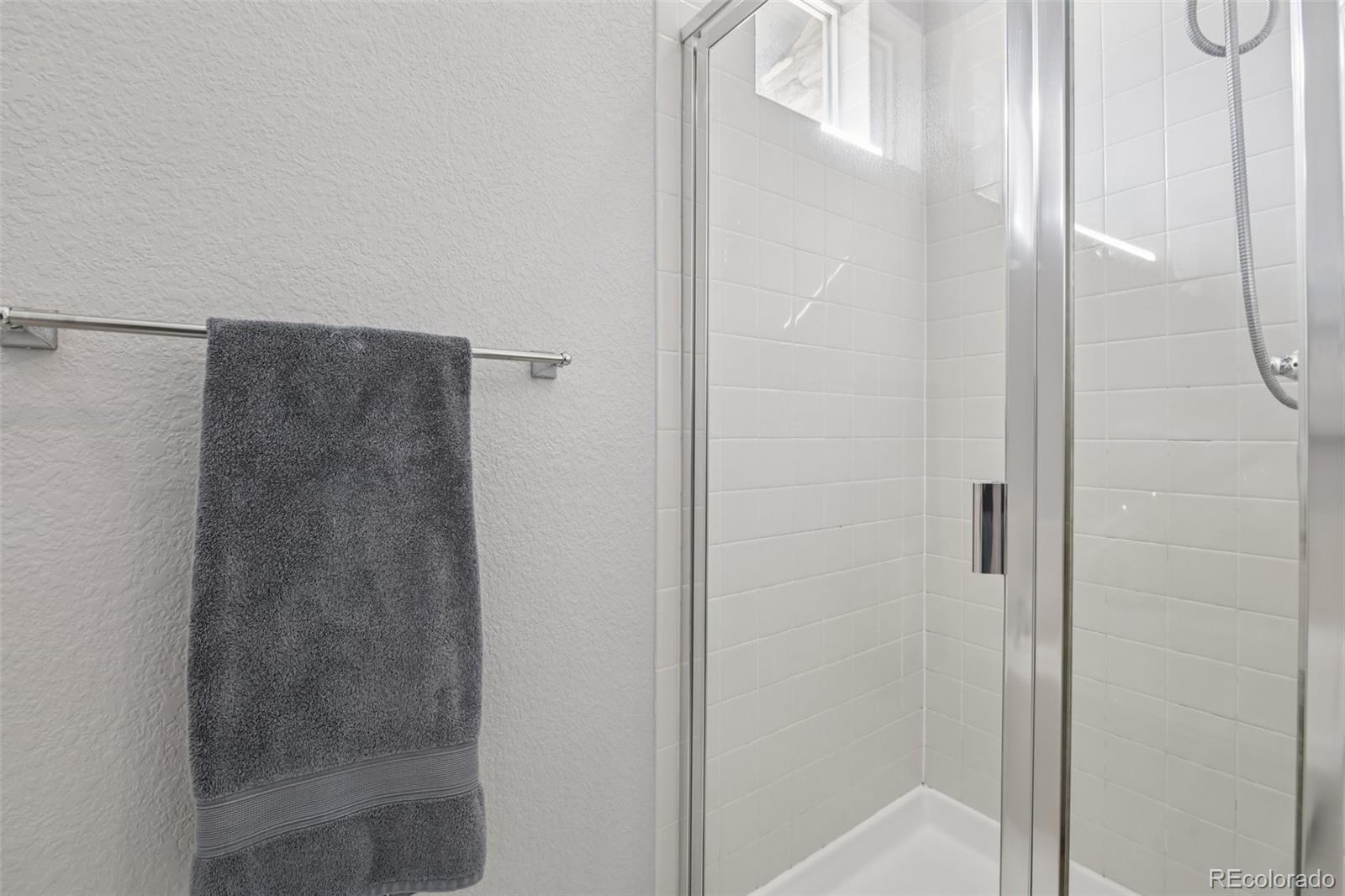 MLS Image #19 for 224  whitehaven circle ,highlands ranch, Colorado