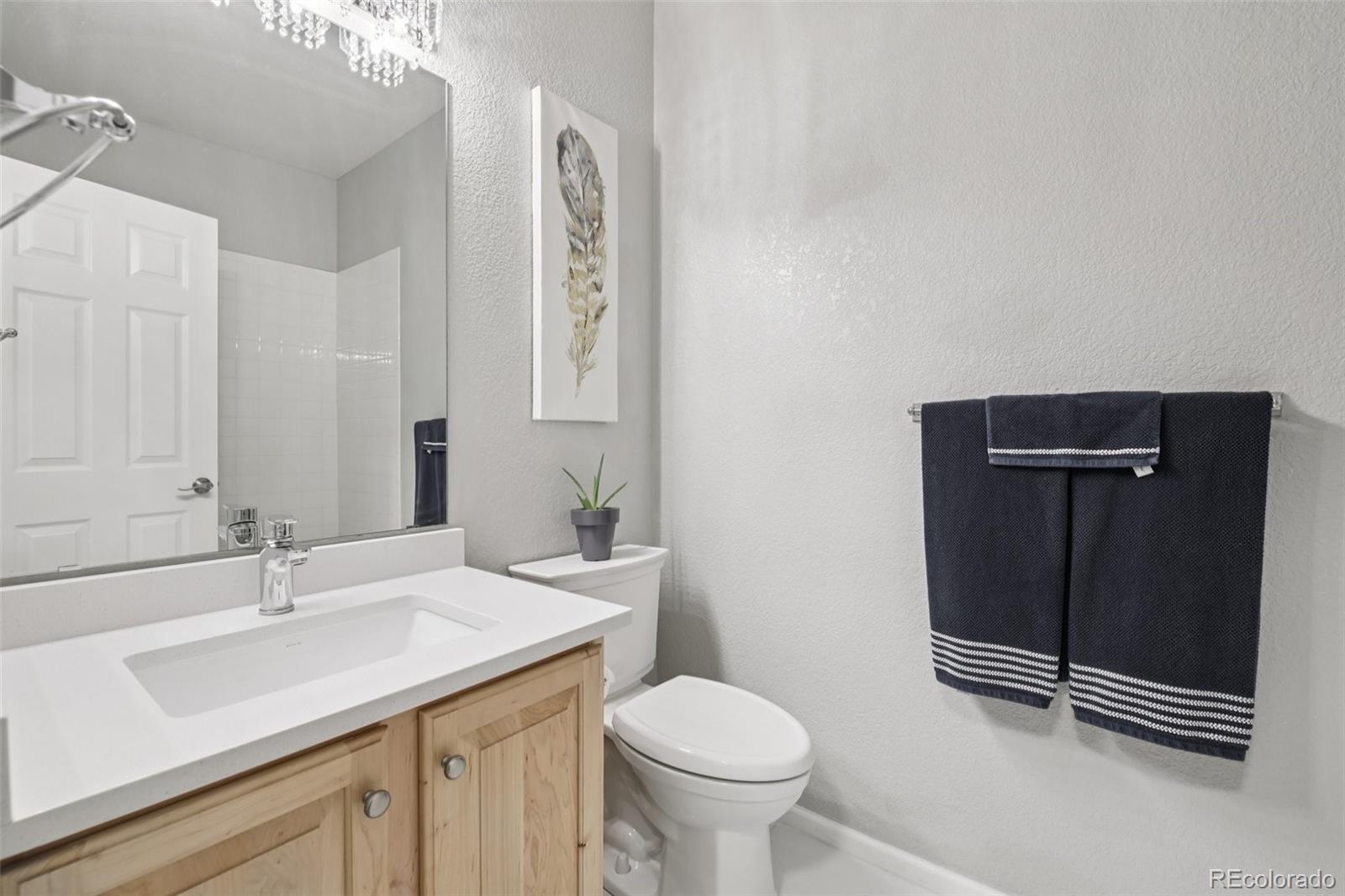 MLS Image #22 for 224  whitehaven circle ,highlands ranch, Colorado