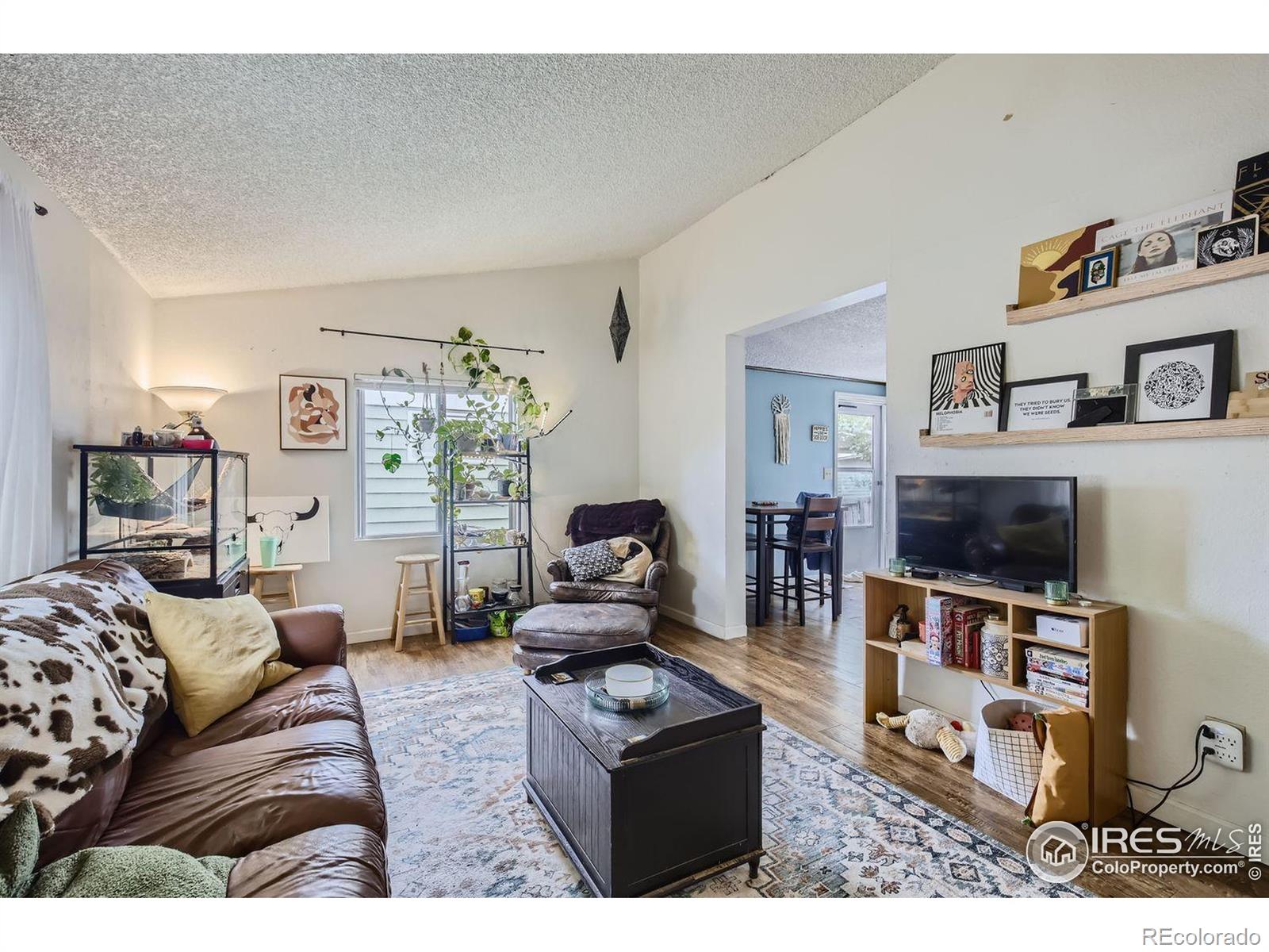 MLS Image #11 for 611 s bryan avenue,fort collins, Colorado