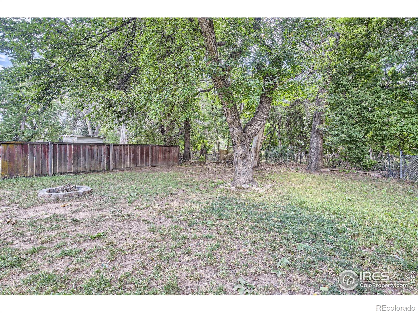 MLS Image #21 for 611 s bryan avenue,fort collins, Colorado