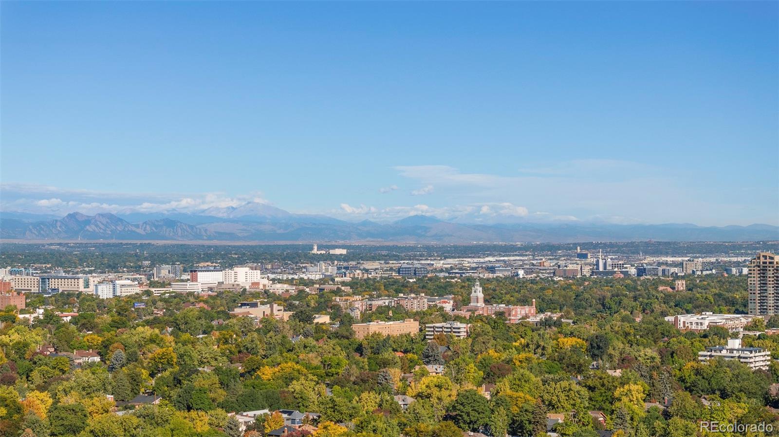 MLS Image #39 for 917  cook street,denver, Colorado
