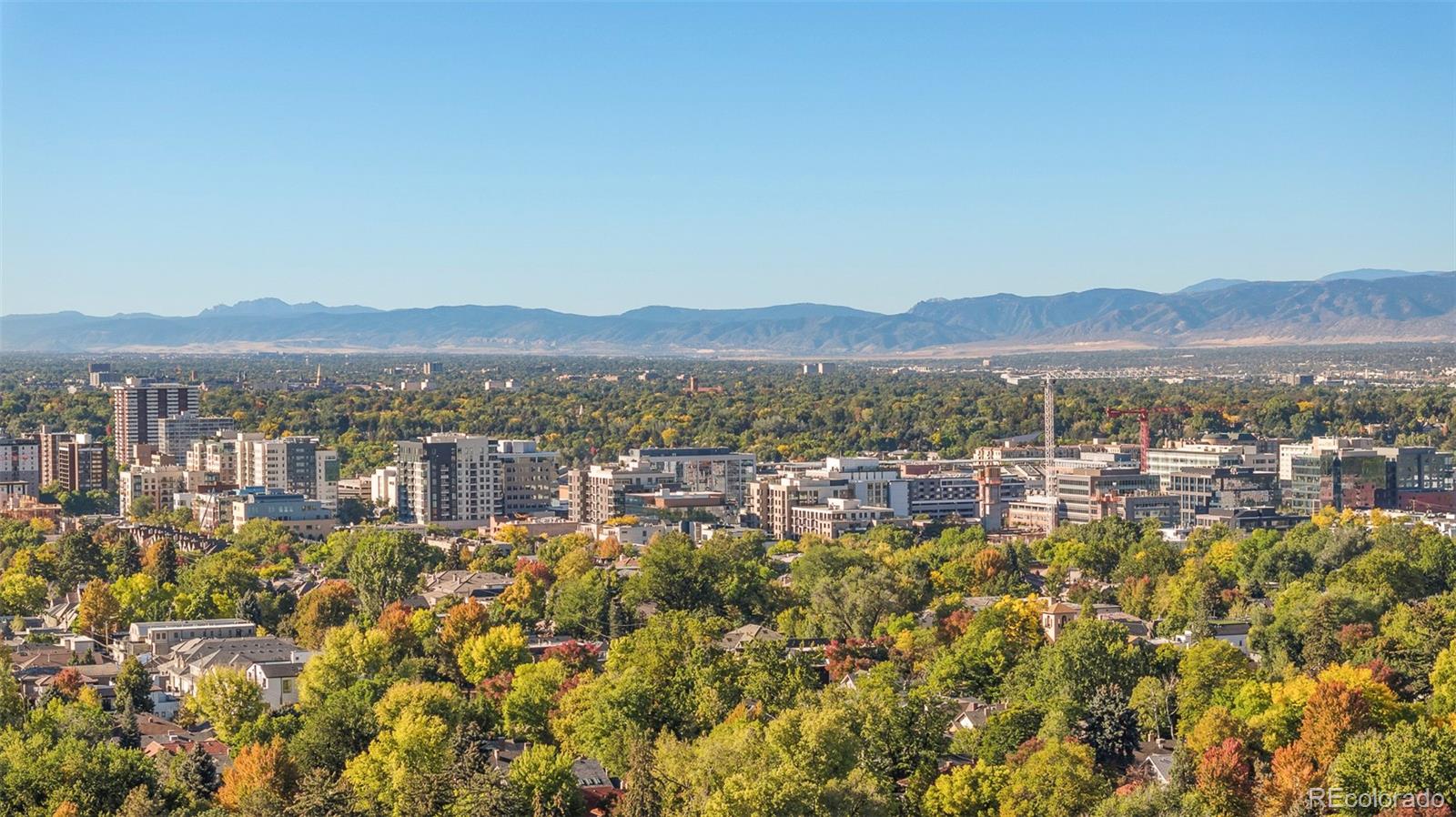 MLS Image #40 for 917  cook street,denver, Colorado