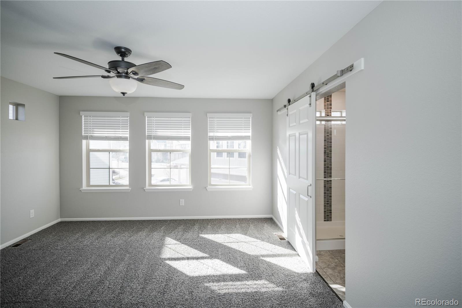 MLS Image #23 for 18361 e 102nd place,commerce city, Colorado