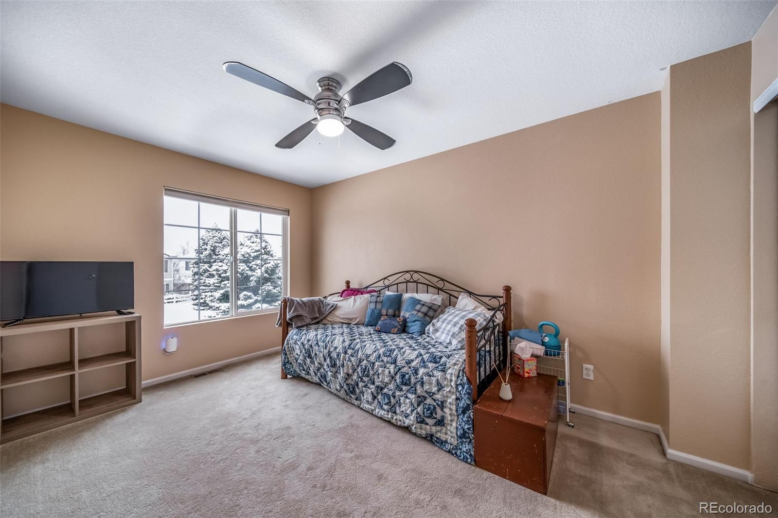 MLS Image #23 for 19776 e 47th place,denver, Colorado