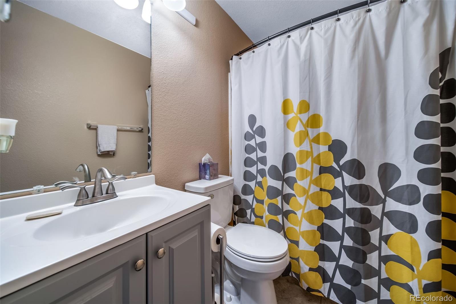 MLS Image #26 for 19776 e 47th place,denver, Colorado