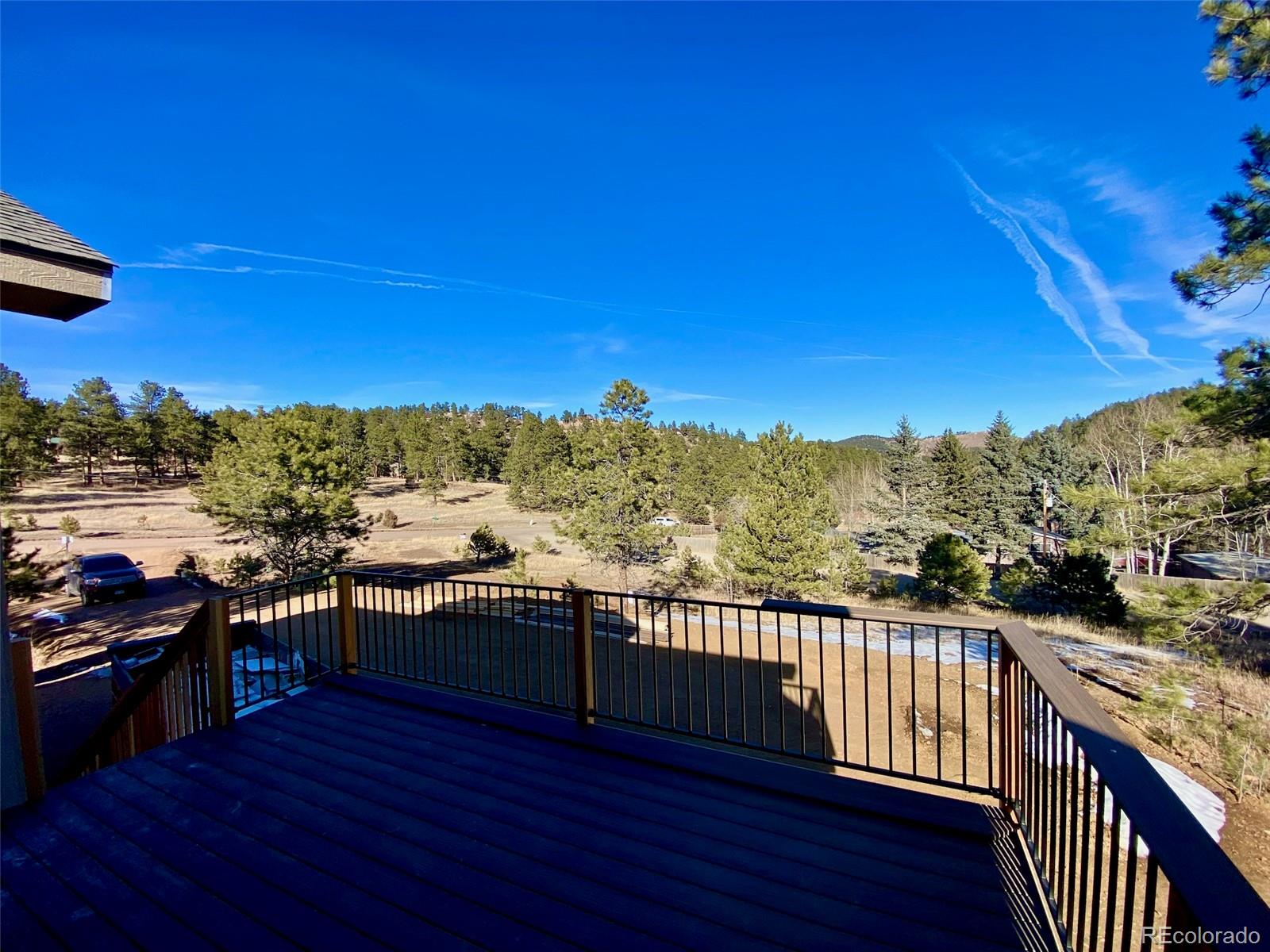 MLS Image #29 for 174  chickadee drive,bailey, Colorado