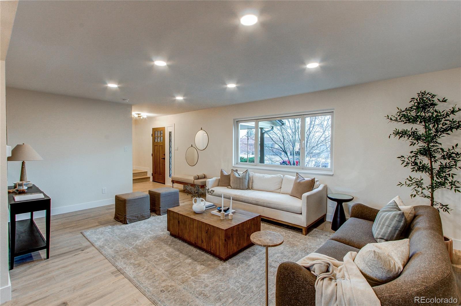 MLS Image #8 for 802  altair drive,littleton, Colorado