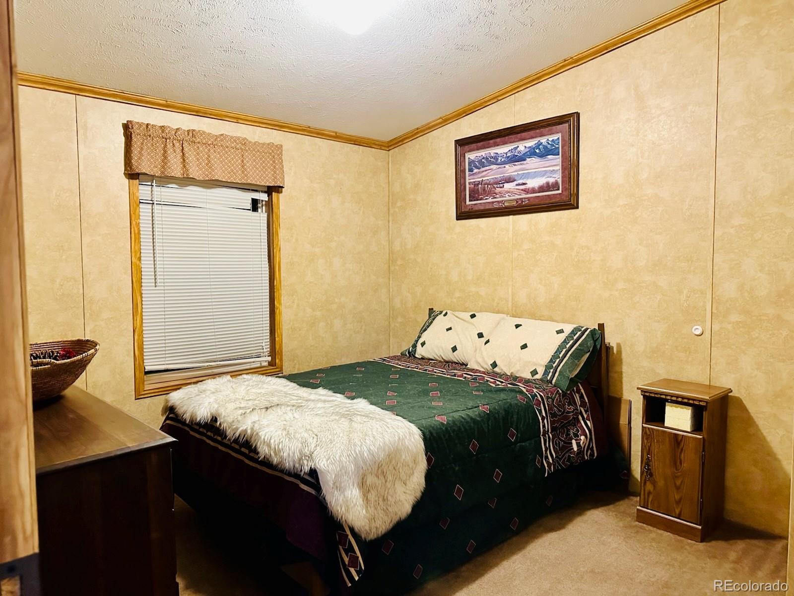 MLS Image #15 for 810  road 110 ,mosca, Colorado