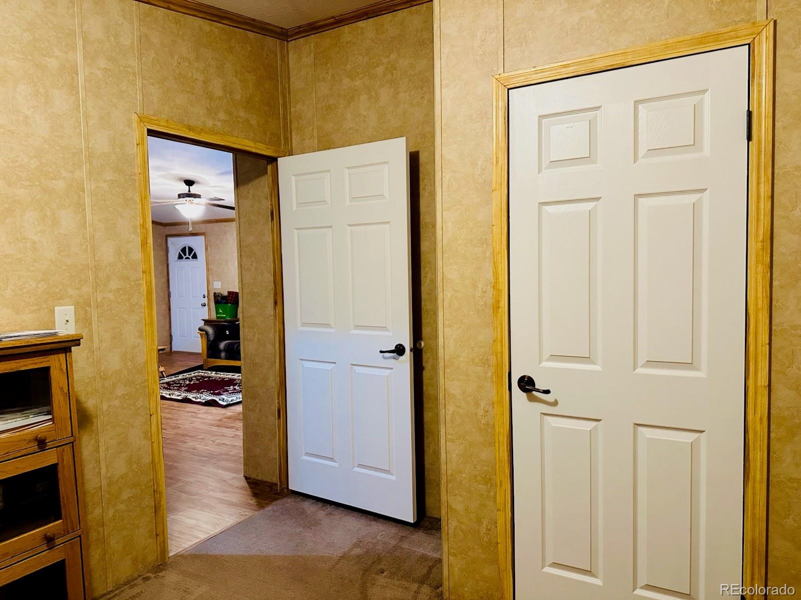 MLS Image #16 for 810  road 110 ,mosca, Colorado