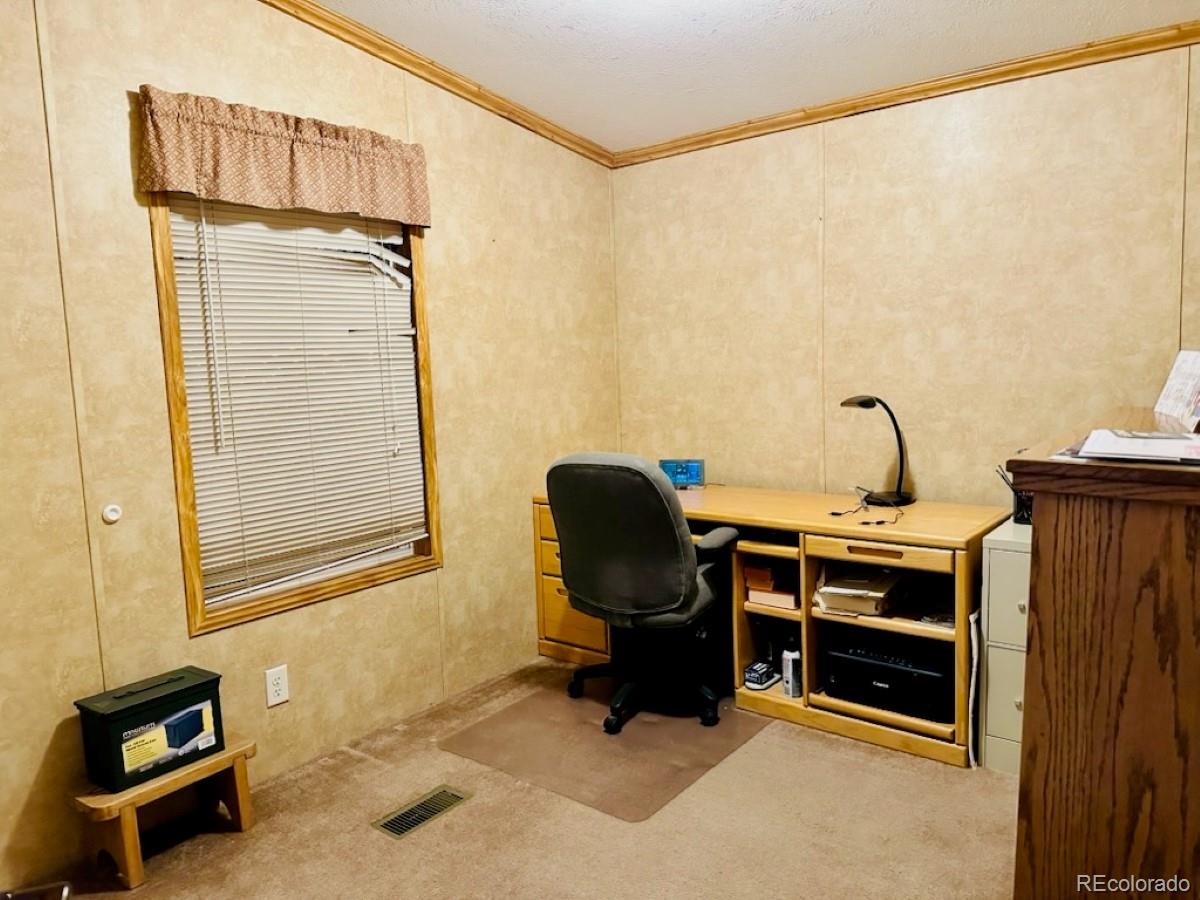 MLS Image #17 for 810  road 110 ,mosca, Colorado