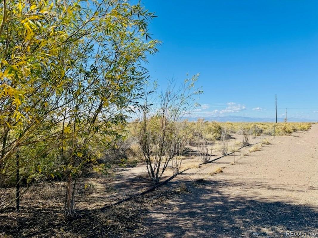 MLS Image #25 for 810  road 110 ,mosca, Colorado