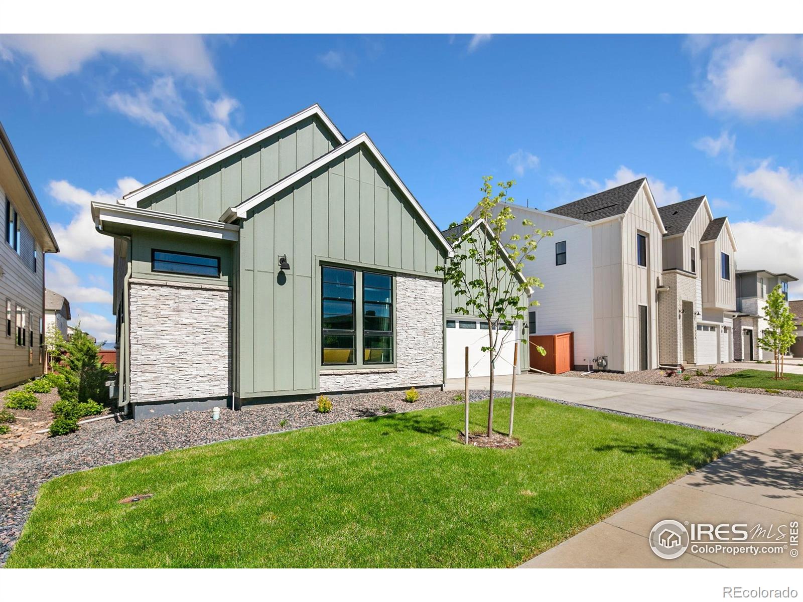 MLS Image #2 for 1716  branching canopy drive,windsor, Colorado