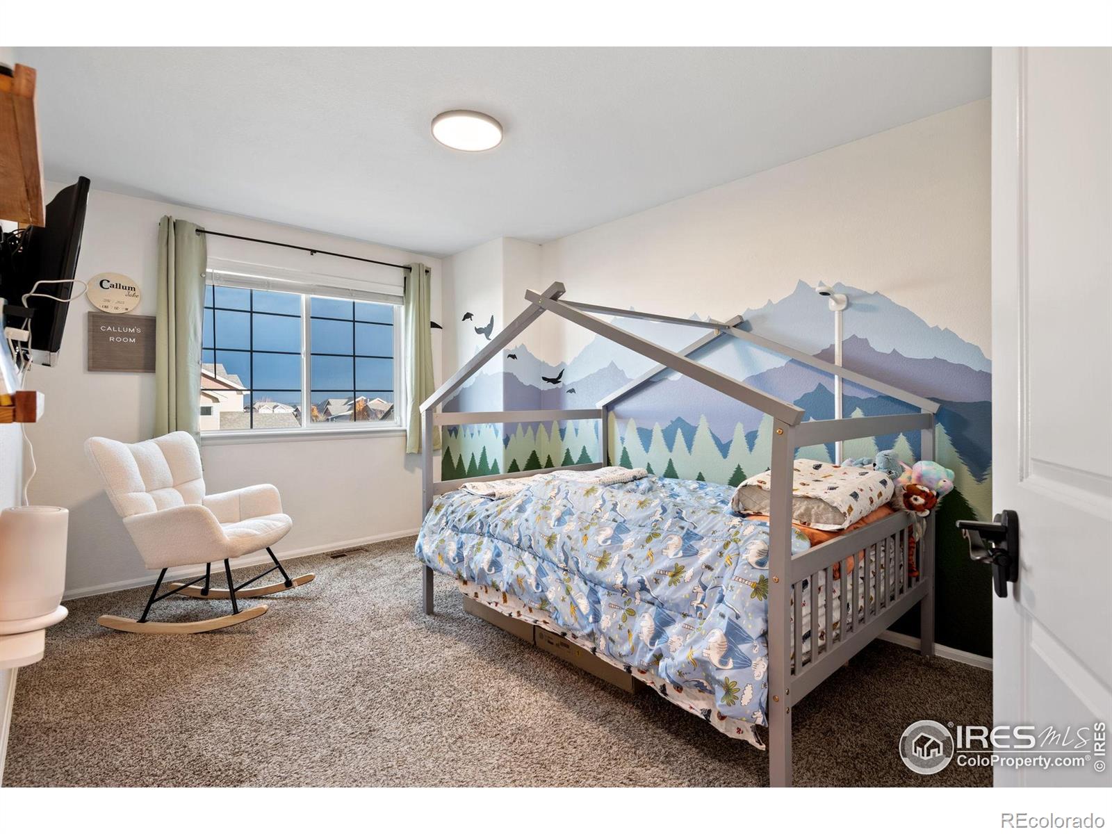 MLS Image #15 for 2076  peach blossom drive,windsor, Colorado
