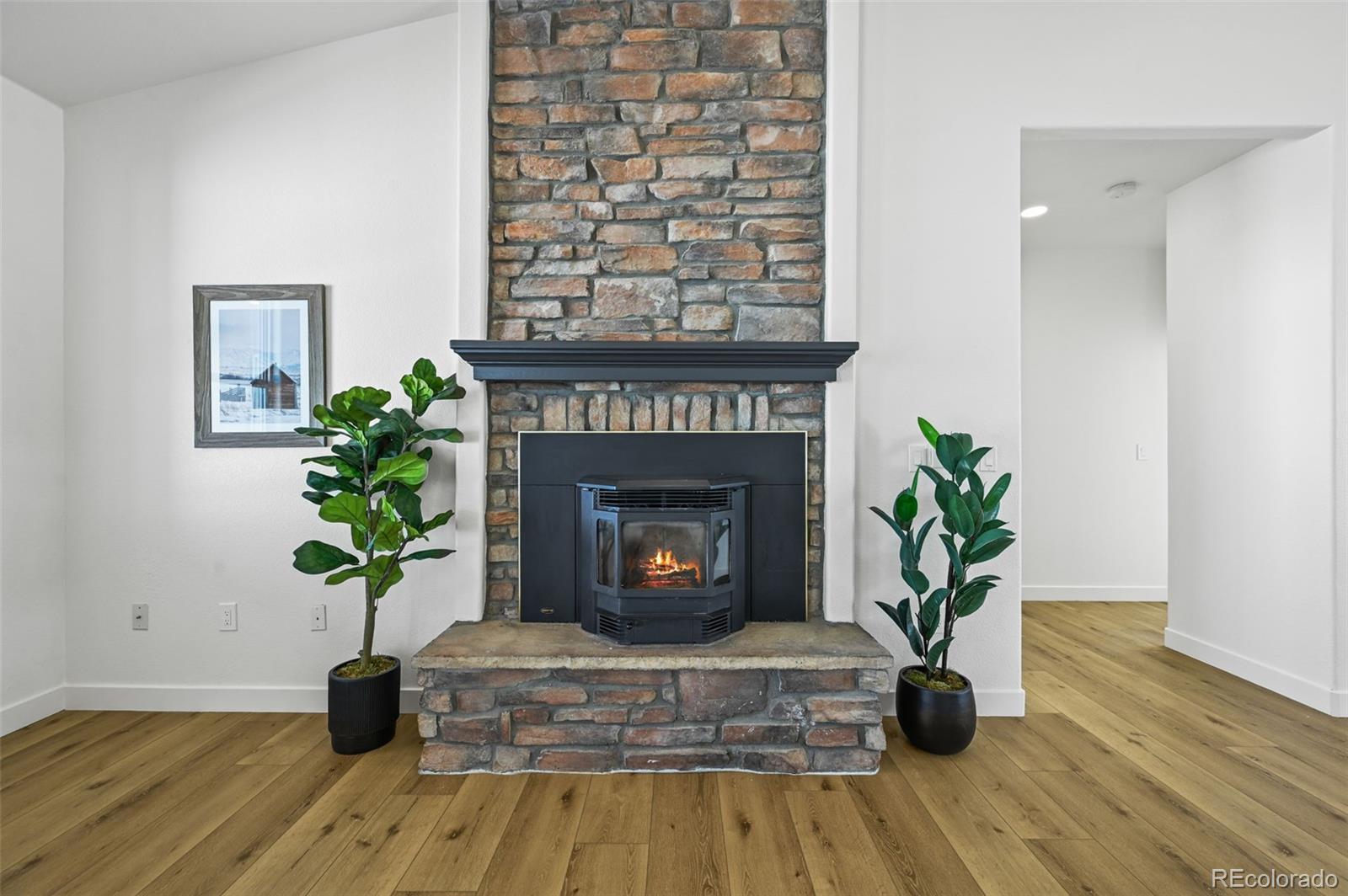 MLS Image #5 for 40995  rendezvous circle,elizabeth, Colorado