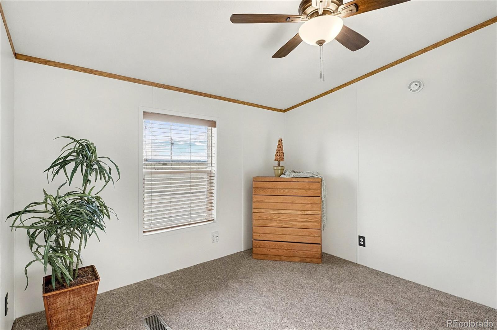 MLS Image #10 for 9695  las haciendas point,fountain, Colorado