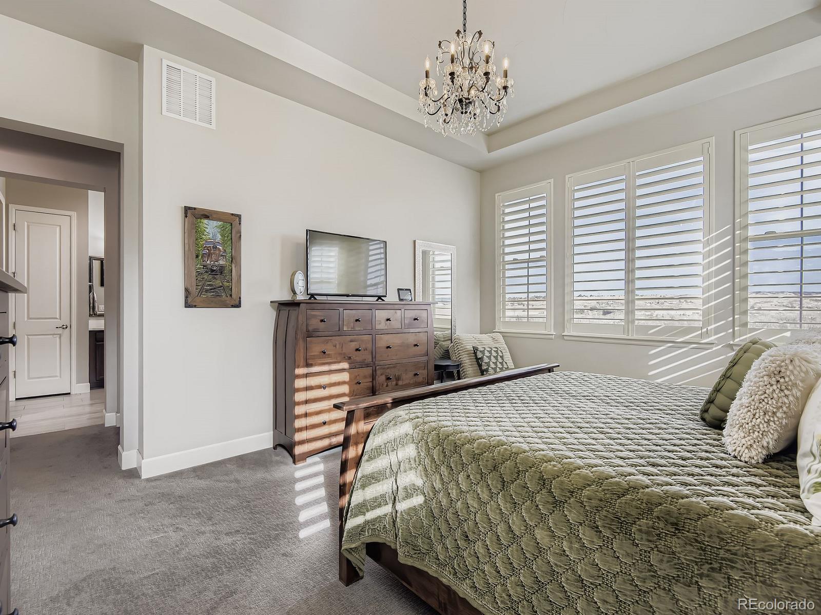 MLS Image #15 for 7941  piney river avenue,littleton, Colorado