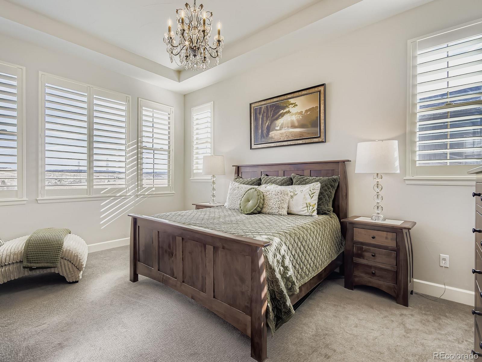MLS Image #16 for 7941  piney river avenue,littleton, Colorado